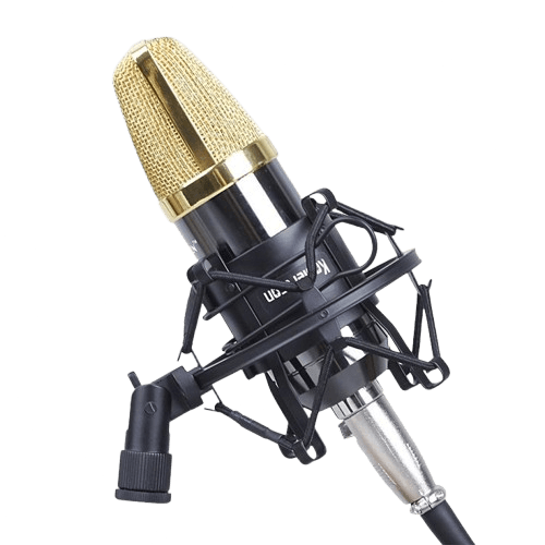 mic